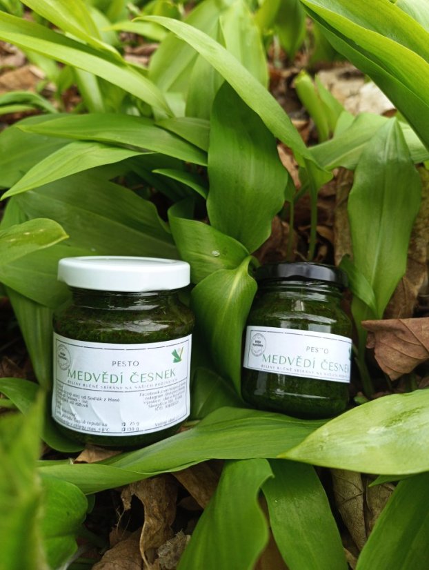 Medvědí česnek PESTO 130 g