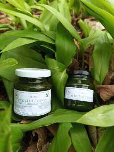 Medvědí česnek PESTO 130 g