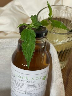 Kopřivový koncentrát
